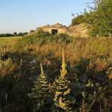 Il paesaggio � puntellato da trulli e masserie "abitati" solo da pipistrelli